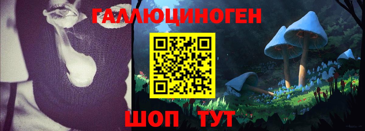 где купить наркоту  Галлюциногенные грибы мицелий  Галлюциногенные грибы прущие грибы  Вход с VPN  Новоалтайск 
